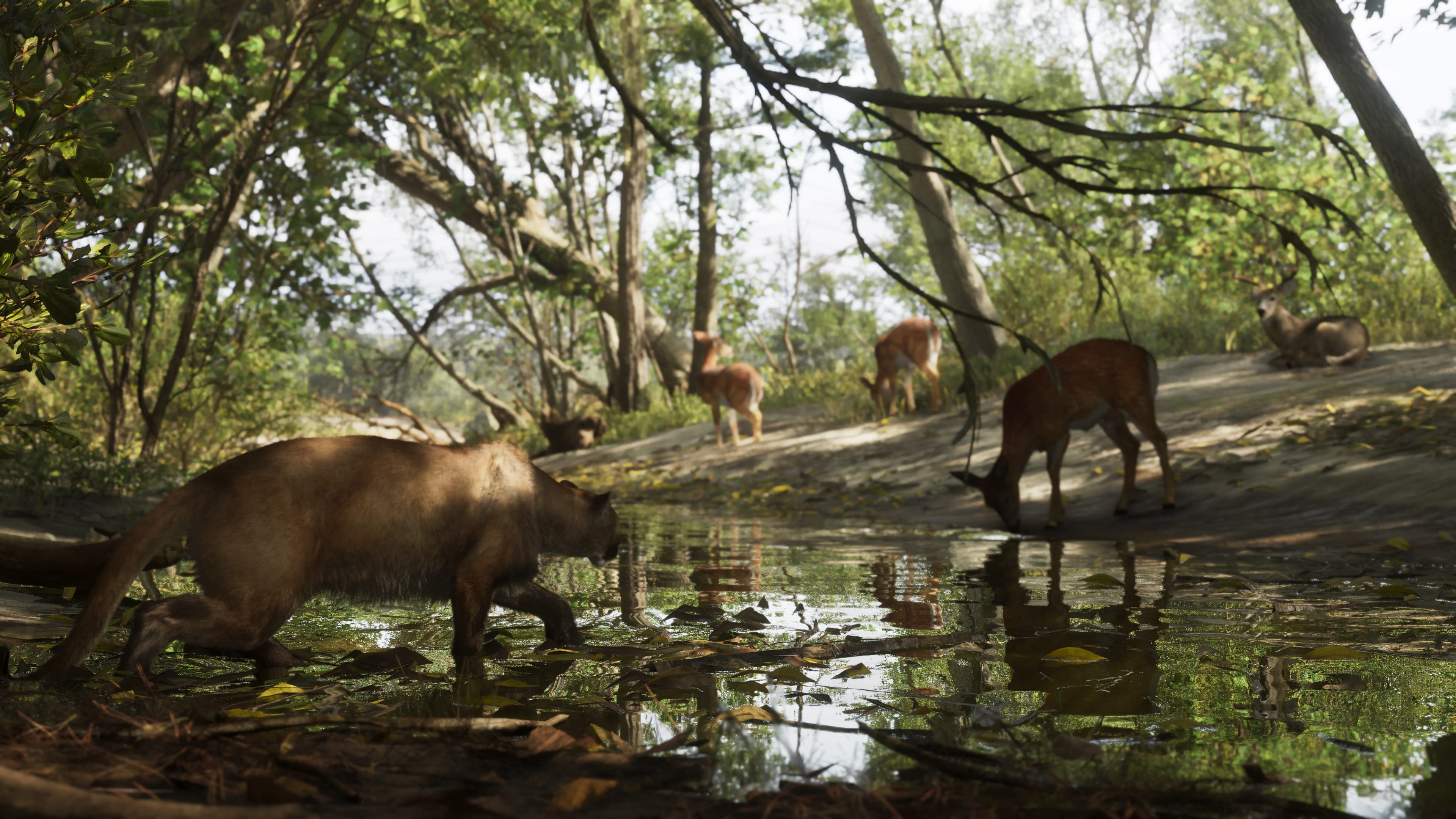 Mount Kalaga National Park — Places